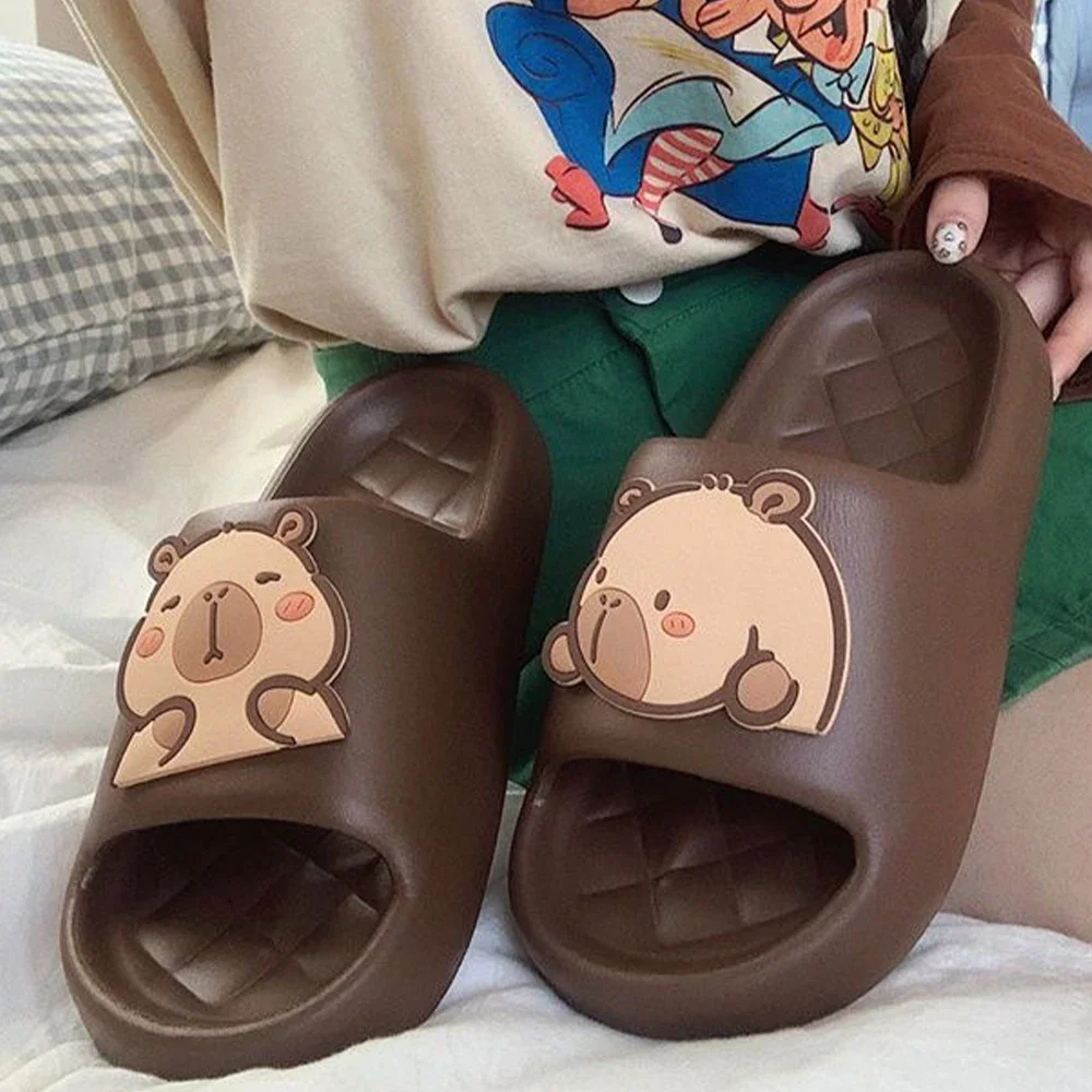 2026 new Cute Capybara Design  - огляд і ціна Water Shoes