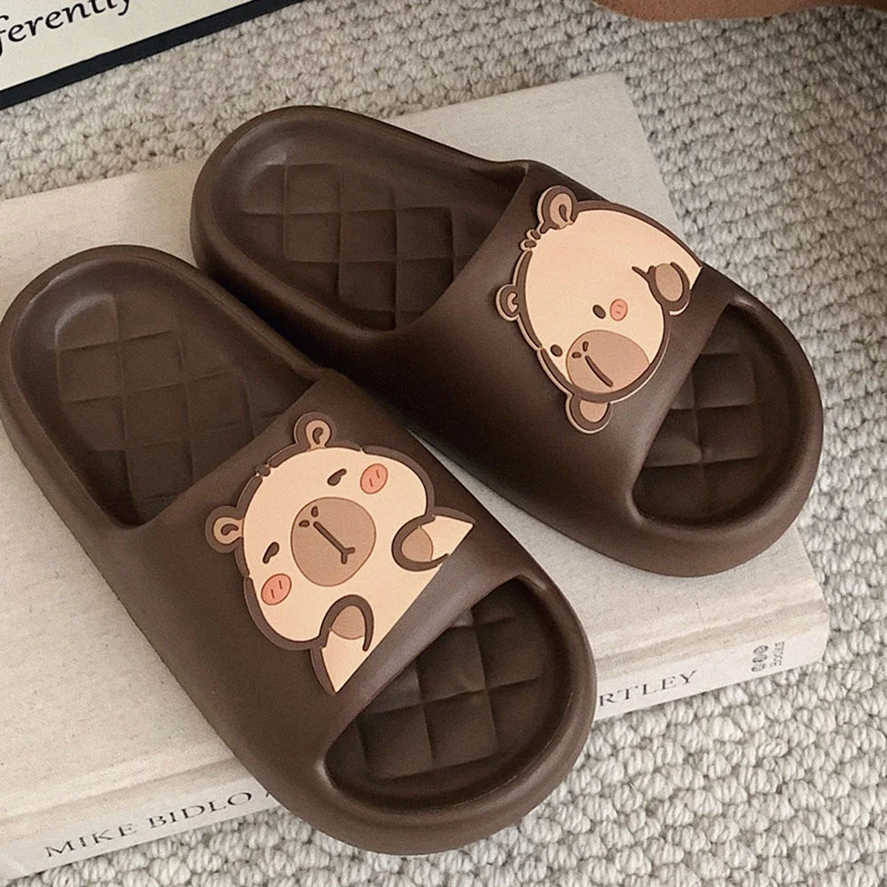 2026 new Cute Capybara Design  - огляд і ціна Water Shoes