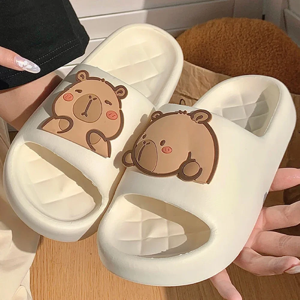 2026 new Cute Capybara Design  - огляд і ціна Water Shoes